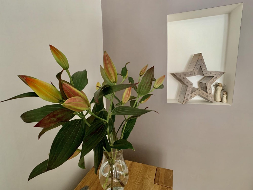 Images for 36 Eglinton Street, Beith EAID:1234 BID:1234