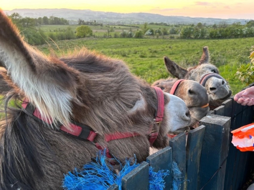 Images for 43 Blackthorn Avenue, Beith, Ayrshire, KA15 2AR, UK