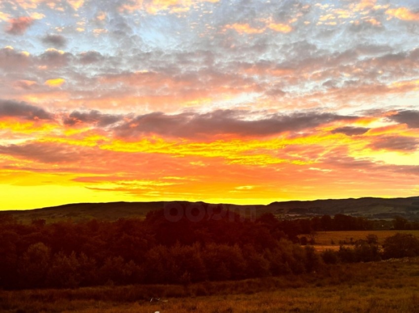 Images for 43 Blackthorn Avenue, Beith, Ayrshire, KA15 2AR, UK