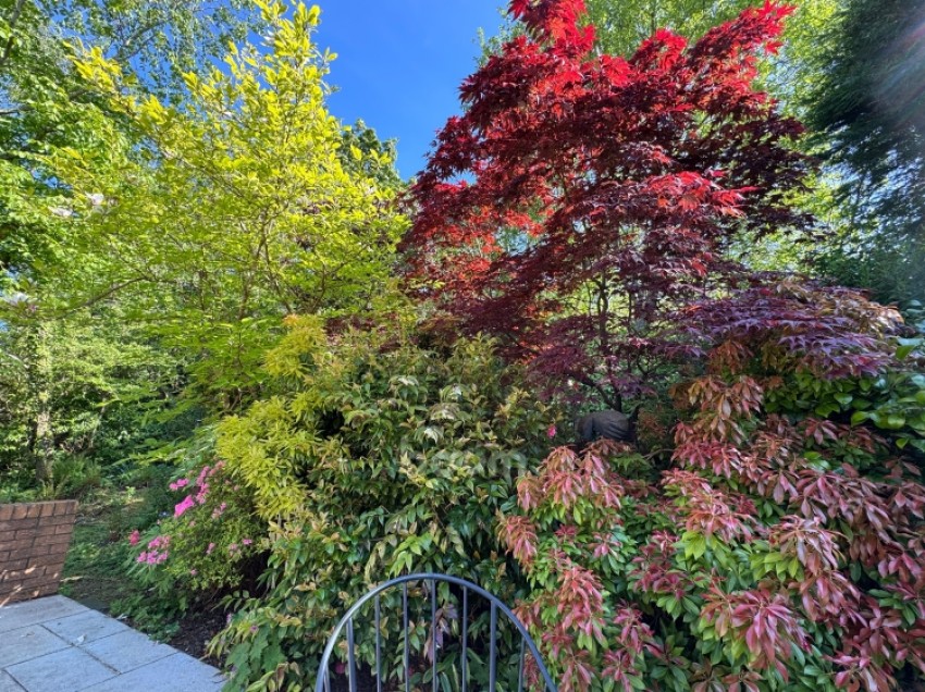 Images for 31 Stanely Avenue, Paisley, Renfrewshire, PA2 9LB, UK