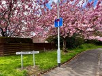 Images for 8 St. Andrews Gardens, Dalry, Ayrshire, KA24 4JZ, UK