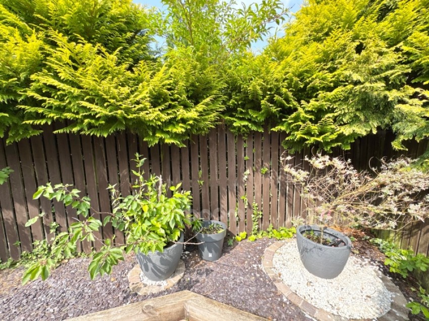 Images for 3 Sandpiper Road, Lochwinnoch, Renfrewshire, PA12 4NB, UK
